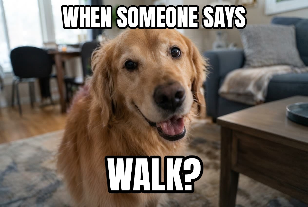 A dog photo with a meme caption — after